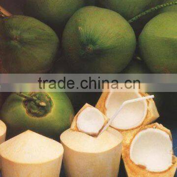 100% Coconut Water beverage drink tin can OEM