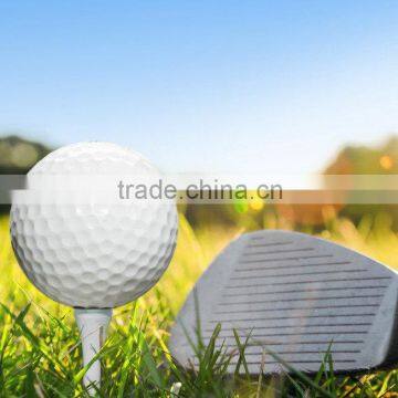 Environmental Mini Golf Artificial Grass