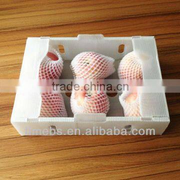 Fresh apple fruit packaging boxes