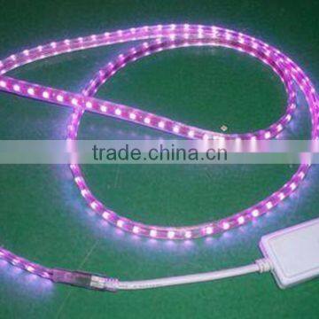Ip65 Led Light Strip