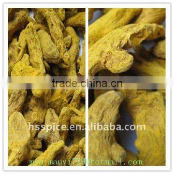 curcuma turmeric fingers