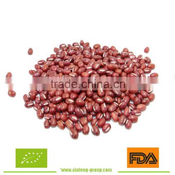 Adzuki Bean