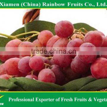 2015 new crop fresh red grape with high quality & competitive price