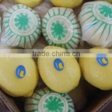 Citrus lemon price in Chinese market