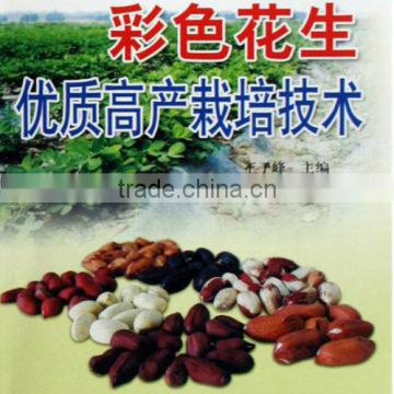 Organic White/Red/Pink/Black Peanut Seeds For Cultivation