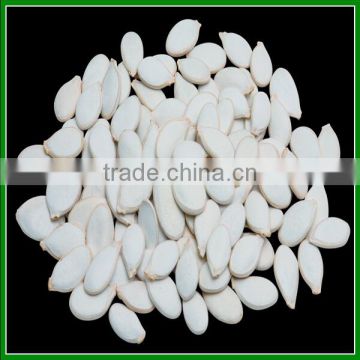 2015 New Crop Snow White Pumpkin Seeds 13cm Sale