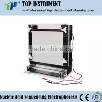 Nucleic Acid Sequencing Electrophoresis