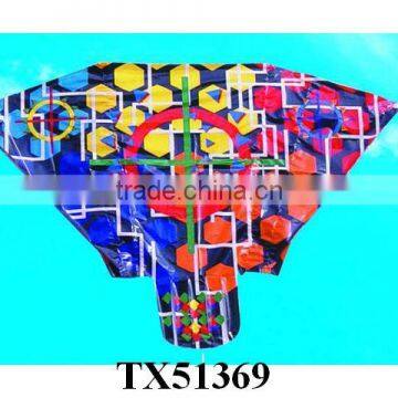 Sport China Airplane Power Kite Surf photo-6