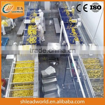 canned passion fruit production/processing line