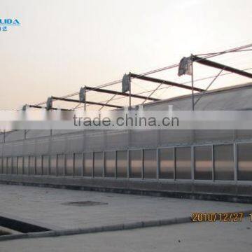 Factory Price High Quality Commercial/agricultural Used Film Covering Greenhouse for Sale photo-4