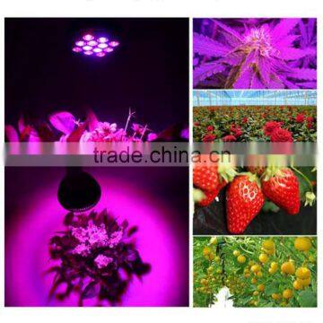 High Efficient 36w LED Grow Light, Collee Plant Grow Lights E27 Growing Bulbs For Garden, Plant, Greenhouse photo-4
