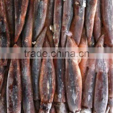 Frozen Argentina Squid photo-2