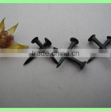 Fine Blue Shoe Tacks / Fine Blue Shoe Nails photo-5