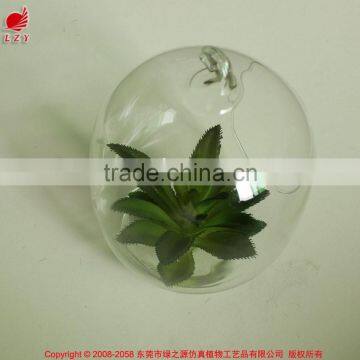 New Home Decor Succulent Art Craft Mini Terrarium Succulent Plant photo-2