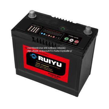 Sealed Lead-acid Battery (SMF)