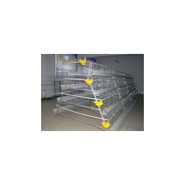 Poultry Cage for Layer Chicken Farm