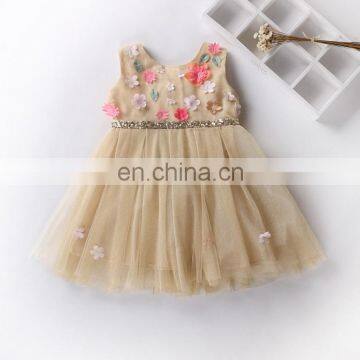 Champagne Flower Baby Girl Dress Sleeveless Petal Tulle Dress Princess Costume