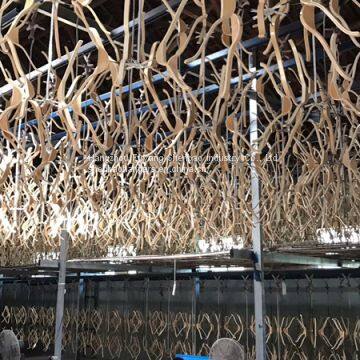 Zoom Birchen Wood Clothing Hangers High Quality Factory Price photo-5
