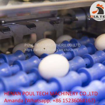 Egg Grading & Packing Machine for Poultry Farm