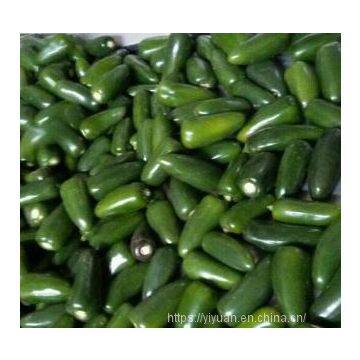 green  pepper seeds hot pepper greenhouse plant  pepper seeds no.39