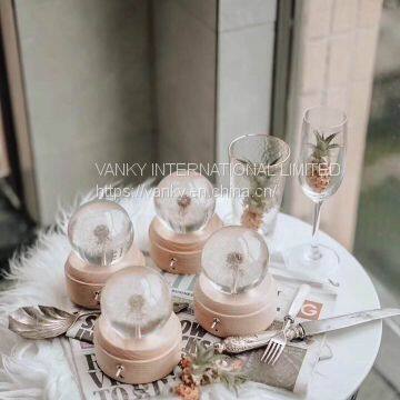 Dandelion Music Box photo-4