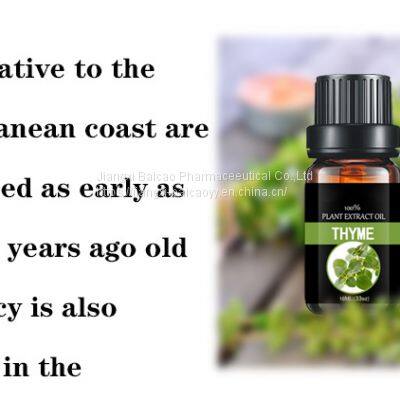 Thyme Oil 100% Natural Plant Extract Essential Oil for Cosmetic Medicial Pharmaceutical photo-2
