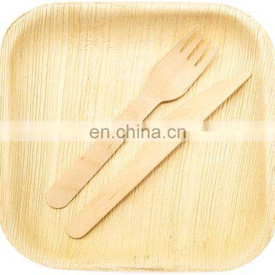 20 pack Biodegradable Palm Leaf Plates 10 Inch Square  Elegant  Sturdy Like Bamboo Disposable  Eco Friendly Compostable Plates