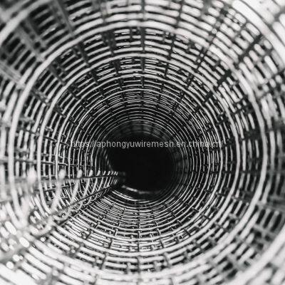 Galvanized Welded Wire Mesh Weldedwiremesh Chickenwirenetting Wire Netting Poultry Fence Poultrymesh Welded Wire Black Wire Black Welded Weldwire photo-3