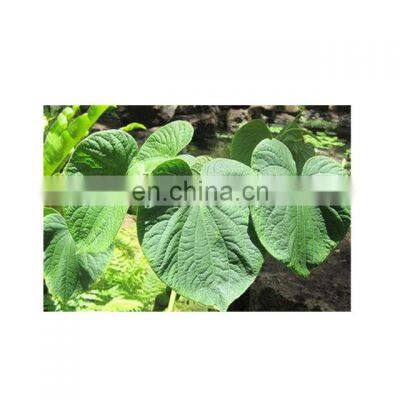 Sciyu Supply 30% Kavalactone From Kava Powder photo-2