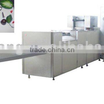 chocolate moulding machine