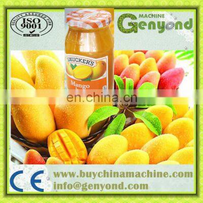 Mango-Marmeladen-/Brei-/Soßen-/Pasten-/Saftverarbeitungsanlage photo-2