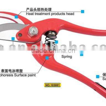 Pruning Shears