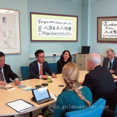 Modern Calligraphy Art Home Decoration Design and Application photo-2