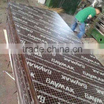 Shuttering Plywood(Poplar) photo-2