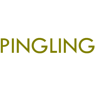 Yiwu Pingling E-commerce Firm