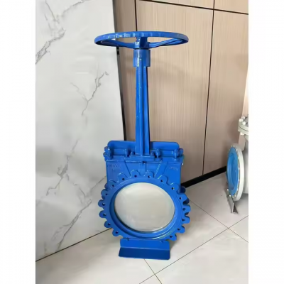 CF8 SS 303/304/316L/201 Stainless Steel Knife Gate Valve Pneumatic Petal Type 8 Inch Dn80 Knife Gate Valve photo-3