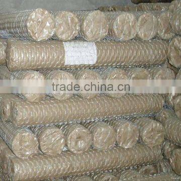 Hexagonal Wire Netting used in Plant Protection by Puersen