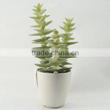 Natural looking real touch tropical artificial succulent plants