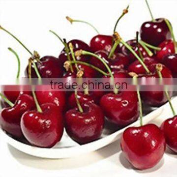 canned sweet cherry in syrup