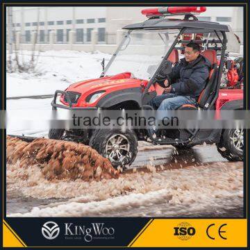 2-seater electric UTV with EEC