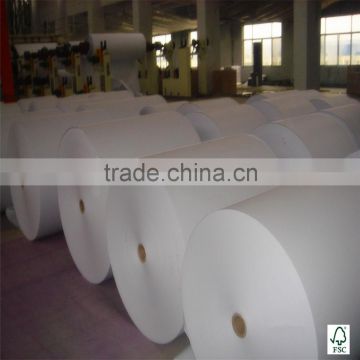 Cup paper stock for making coffee cup disposable cup