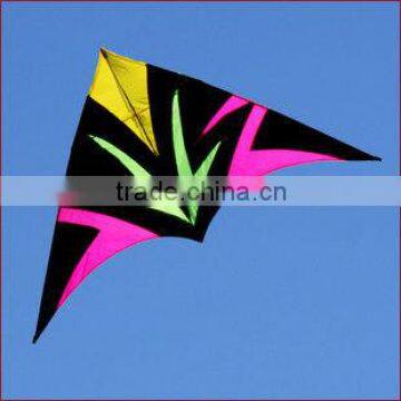 3m delta kite