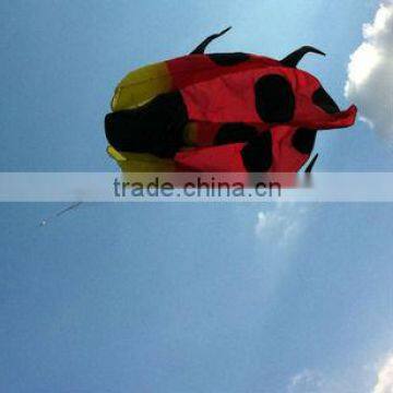 Beetles Soft Kite