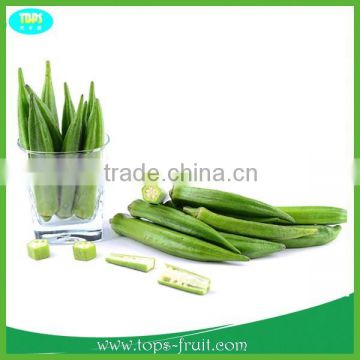 100% High Quality 2015 New Fresh okra