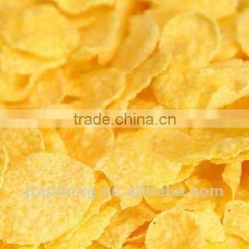 Corn flake production line