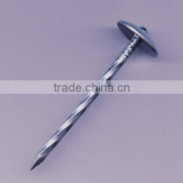 High quality anchor roofing nail (China factory)