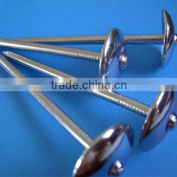 hot sales galvanized anchor brand roofing naill (manufacturer)