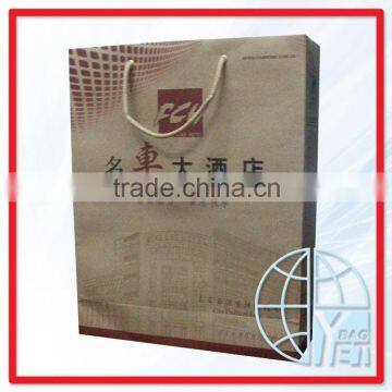 fashional paper promotion bag