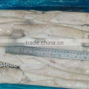 Frozen Loligo Squid Whole Round