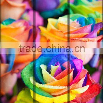 Wholesale Wall Decorative 3D Full Size Flower Wallpaper Rose Mural For Wedding Home Decor